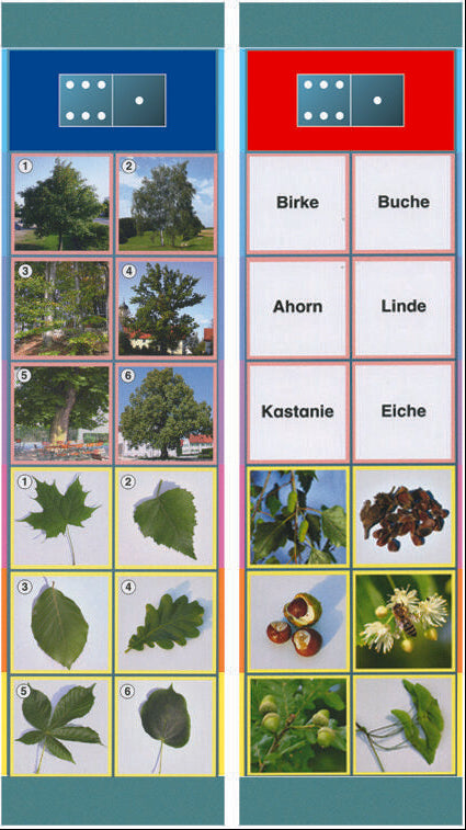 SACHKUNDE - Pflanzen (Set S1)