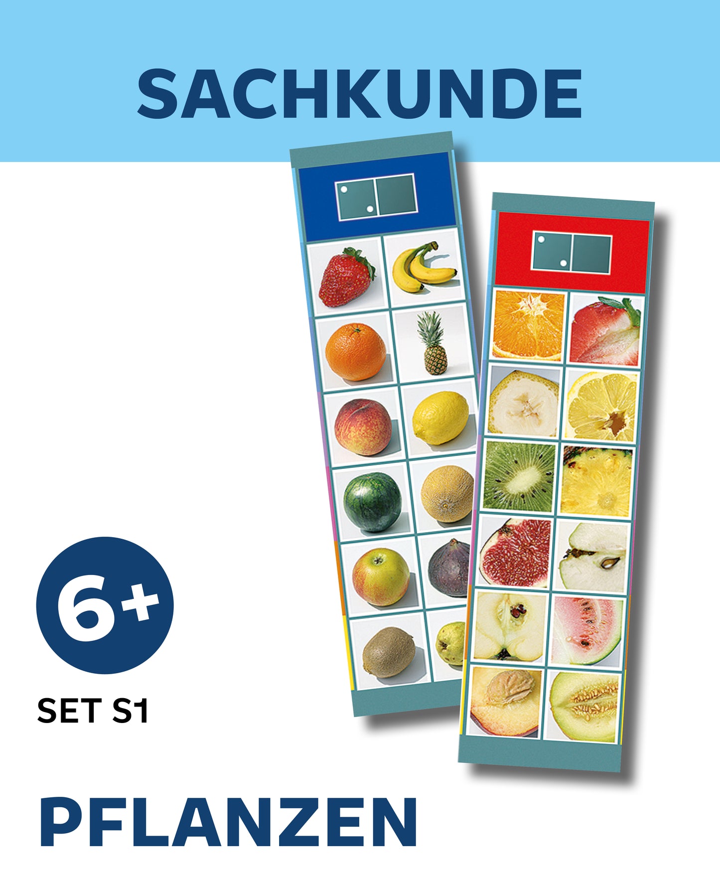 SACHKUNDE - Pflanzen (Set S1)