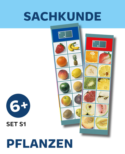 SACHKUNDE - Pflanzen (Set S1)
